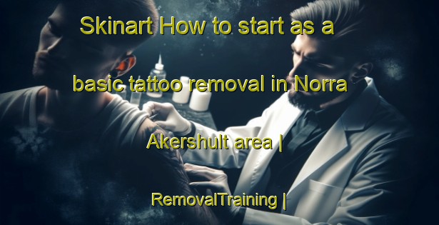 Skinart How to start as a basic tattoo removal in Norra Akershult area | RemovalTraining | RemovalClasses | SkinartTraining-Sweden